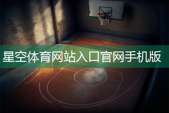 星空公司：拼多多篮球训练器材