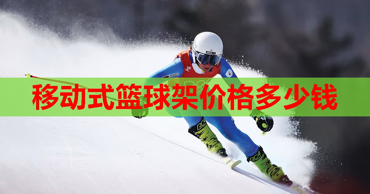 移动式篮球架价格多少钱