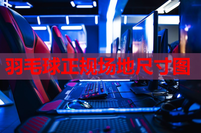 羽毛球正规场地尺寸图
