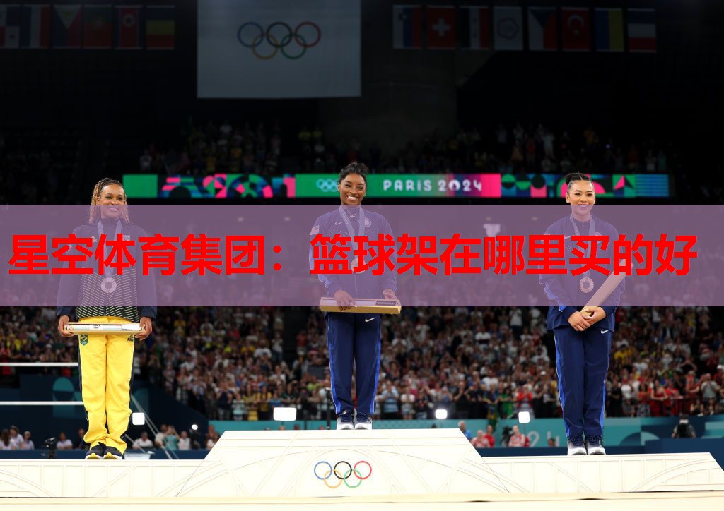 篮球架在哪里买的好