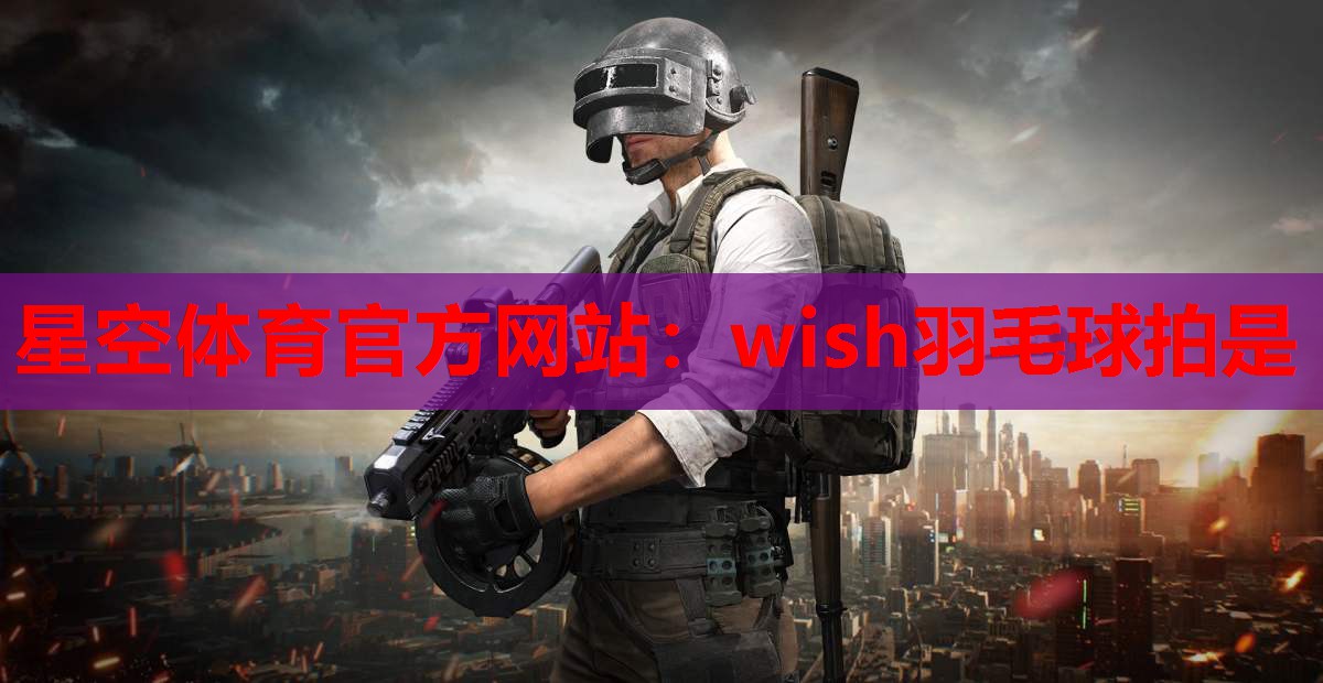wish羽毛球拍是